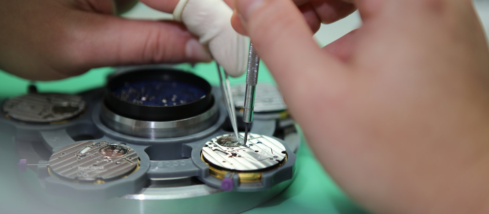 Horloger assemblant un mouvement de montre mécanique à la pince — révision complète